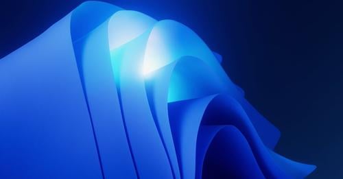 16503062641948420368